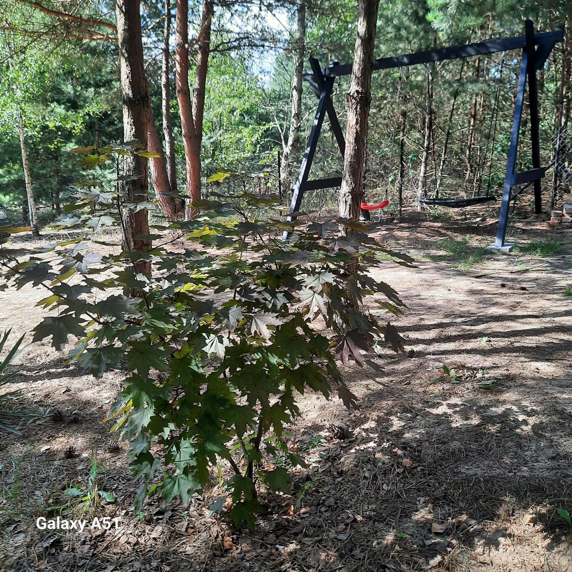 Domek Lesniczowka Gorzewo Luaran gambar
